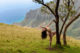 Anoush Anou, Kauai, Waimea