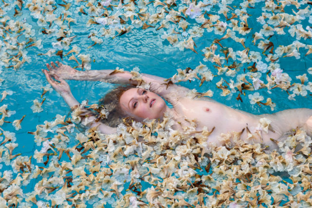 Ivory Flame, Yucatan, 2020