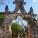 Ivory Flame, Yucatan, 2020
