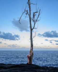 Nicole Rayner, Hawaii, 2025