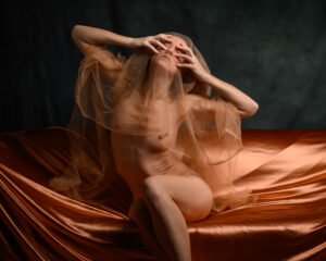 Vivian Cove, Livermore, 2024