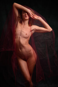 Vivian Cove, Livermore, 2024