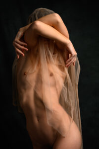 Vivian Cove, Livermore, 2024